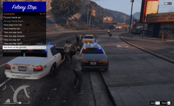 Felony Stop-1.png