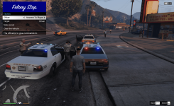 Felony Stop-2.png