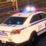 NYPD小型车包